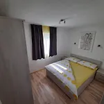 Apartment Scripea Skrip